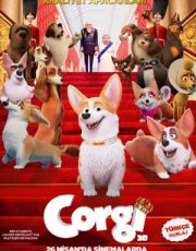 Corgi