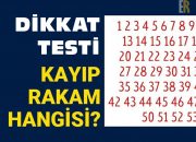 Dikkat testi: Kayıp rakam hangisi?