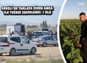 Ereğli’de tarlaya giden amca ile yeğeni zehirlendi: 1 ölü