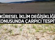 Küresel iklim değişikliği konusunda çarpıcı tespit