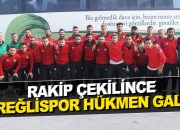 Ereğlispor Hükmen 3 Puan Aldı