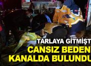 Tarlaya Giden İşçi Ölü Bulundu